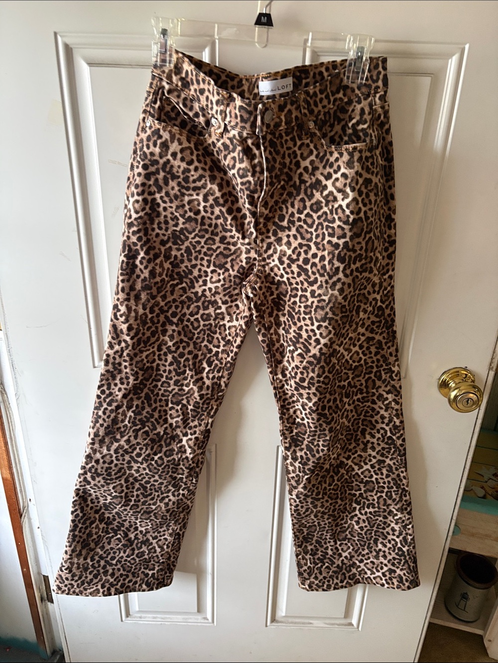 LOFT Women's Leopard Print Boot Cut Pants in Brown